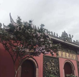 沐鸣2娱乐：助力公益活动建设，实现经济效益与社会效益的双赢！